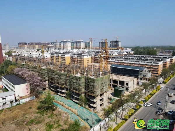 馆陶二手房市场新动向，最新消息与趋势分析