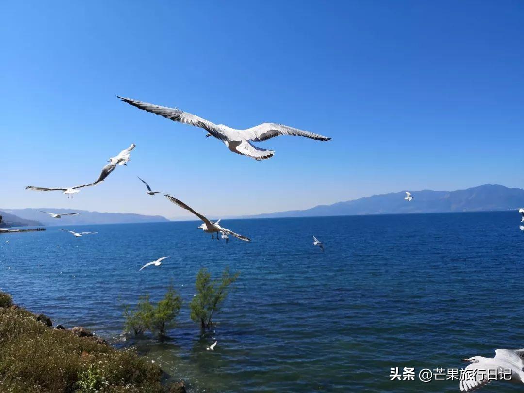 目前去泰国旅游安全吗？最新安全指南与旅行者须知