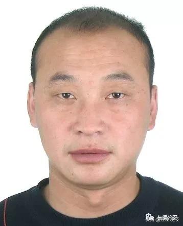 快评 第222页