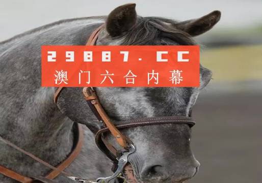 澳门一肖一码一一中一特；精准解答，精选解析解释落实