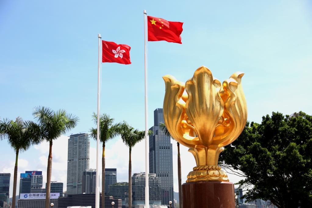 澳门与香港2025六今晚资料，实用释义解释落实