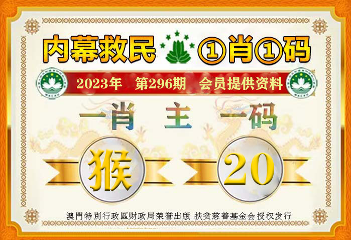 澳门与香港2025年一肖一码一中一特，实用释义、解释与落实