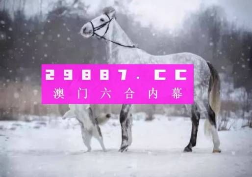 澳门与香港一肖一码一中一特，精选解析解释落实