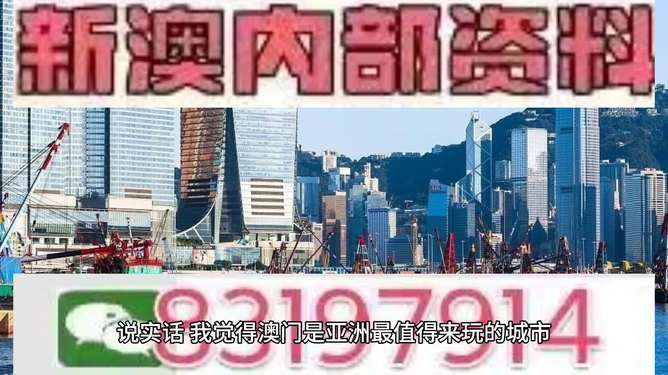 澳门与香港2025年今晚特马，精选解析解释落实