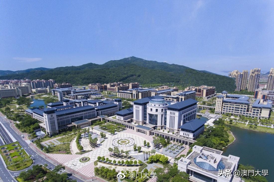澳门与香港2025今晚开奖结果，实用释义解释落实