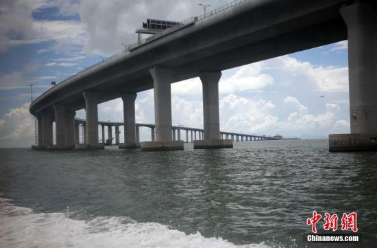 澳门与香港2025年正版资料免费大全1，全面释义解释落实