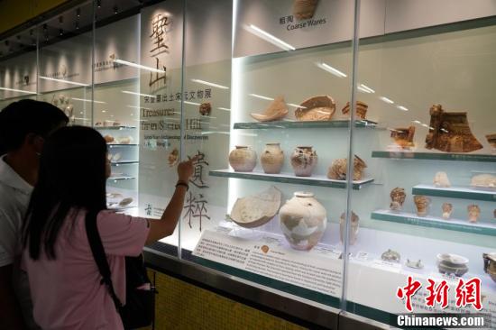 澳门与香港新开奖结果查询，精选解析解释落实