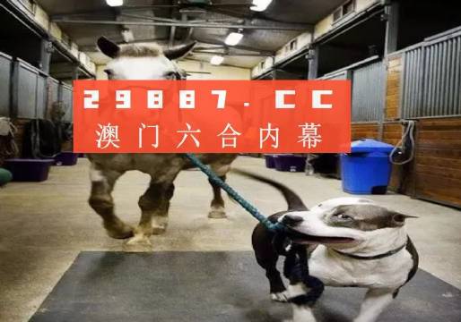 澳门与香港一肖一码一必中一肖同舟前进，精选解析与落实行动的智慧