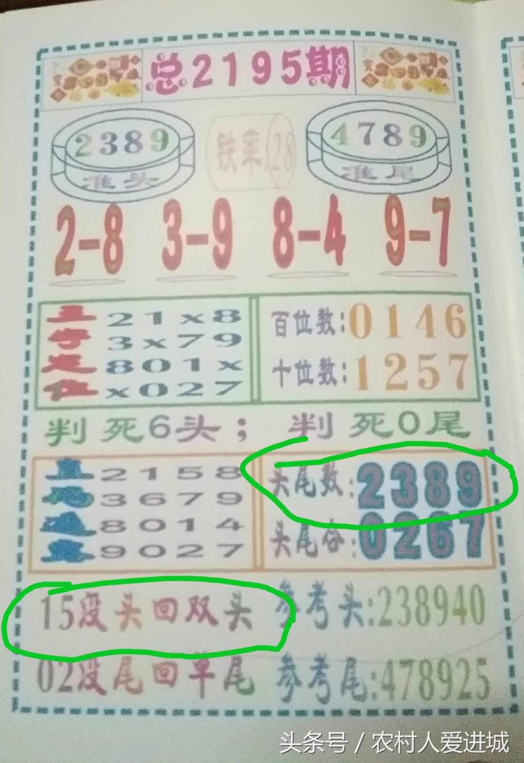 澳门与香港一肖中100%期期准，理性与现实的平衡