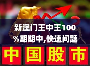 澳门与香港王中王100%期期中，精选解析解释落实
