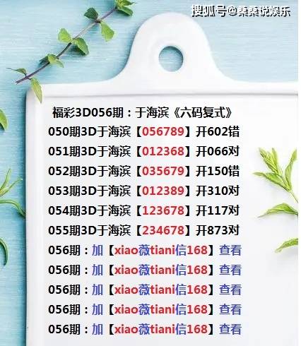 新澳门六开彩开奖结果近15期 精选资料解析大全