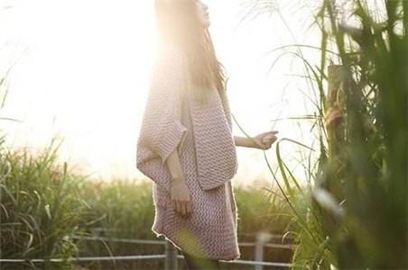 香港四不像生肖图正版软件特色|精选资料解析大全