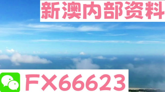 2024新澳最准确资料|精选资料解析大全