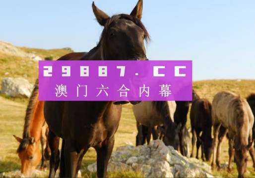 管家婆一肖一码100澳门 精选资料解析大全