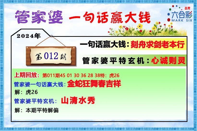 管家婆的资料一肖中特46期 精选资料解析大全
