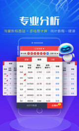 2024澳门天天开好彩大全162 精选资料解析大全