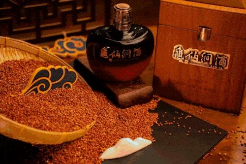 香港精准王中王全年资料 精选资料解析大全
