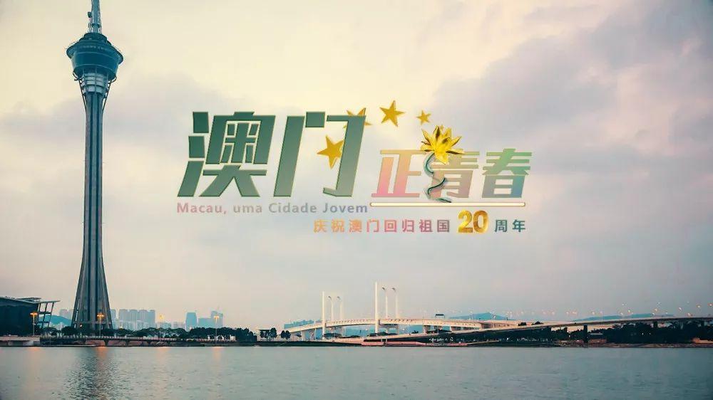 新奥门免费资料大全正版阅读 精选资料解析大全