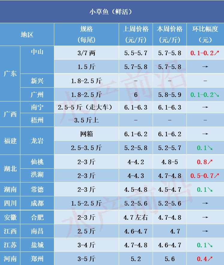最新鲤鱼价格走势