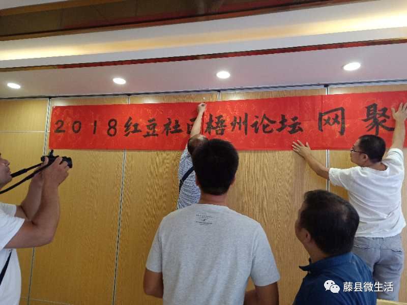 藤县红豆网最新