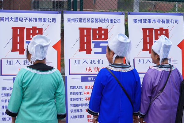 从江最新招聘